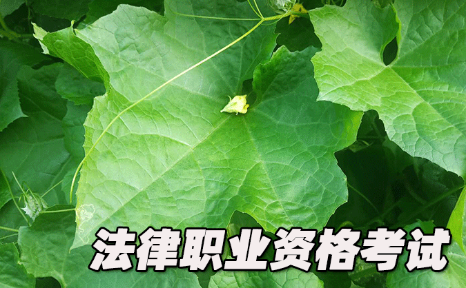 平頂山法律職業(yè)資格考試-報名條件-考試時間-考試科目