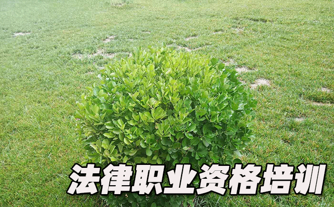 臨沂法律職業(yè)資格考試-報(bào)名條件-考試時(shí)間-考試科目