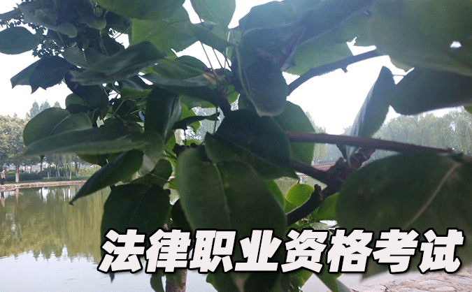  株洲法律職業(yè)資格考試-報名條件-考試時間-考試科目