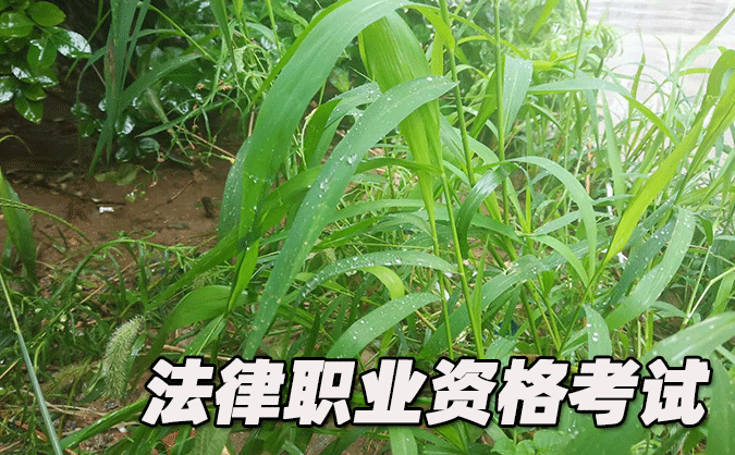 安康法律職業(yè)資格考試-報(bào)名條件-考試時(shí)間-考試科目